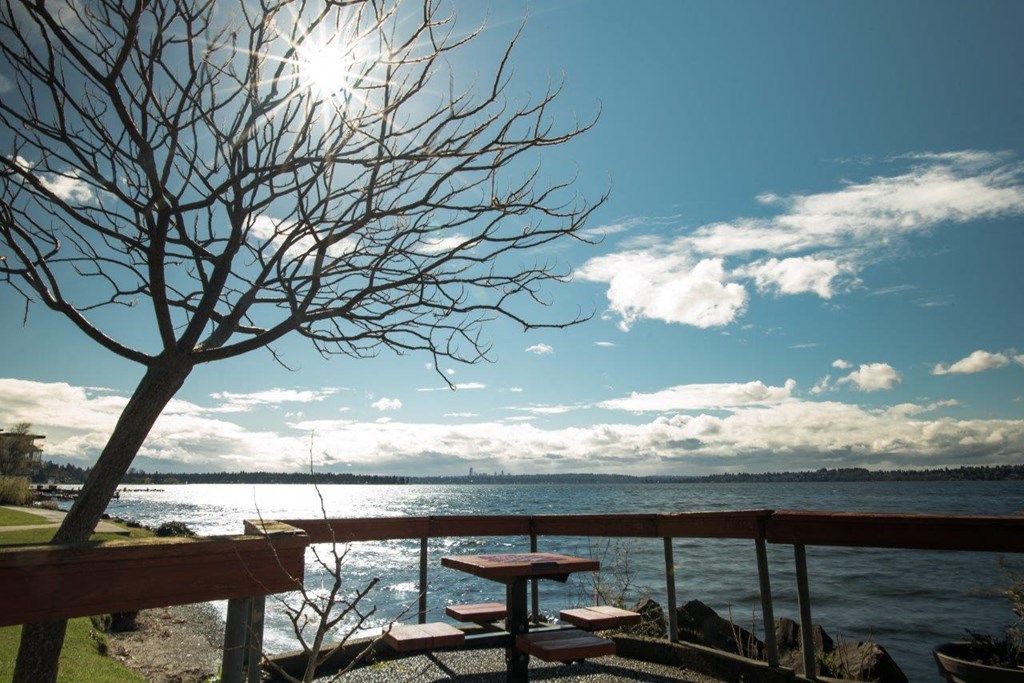 a view of the ocean from a restaurant with benches and a tree
