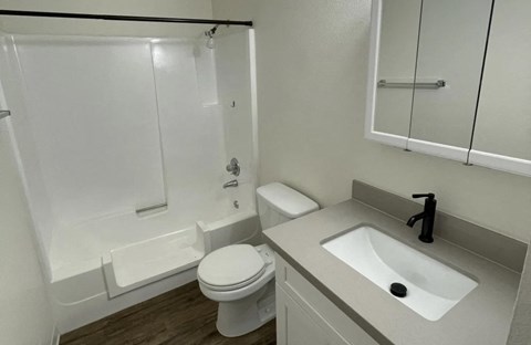 A white toilet sits next to a sink in a small bathroom.