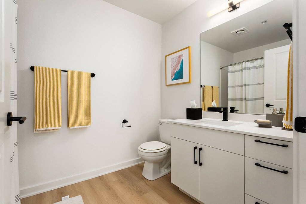 a bathroom with a sink and a toilet and a mirror