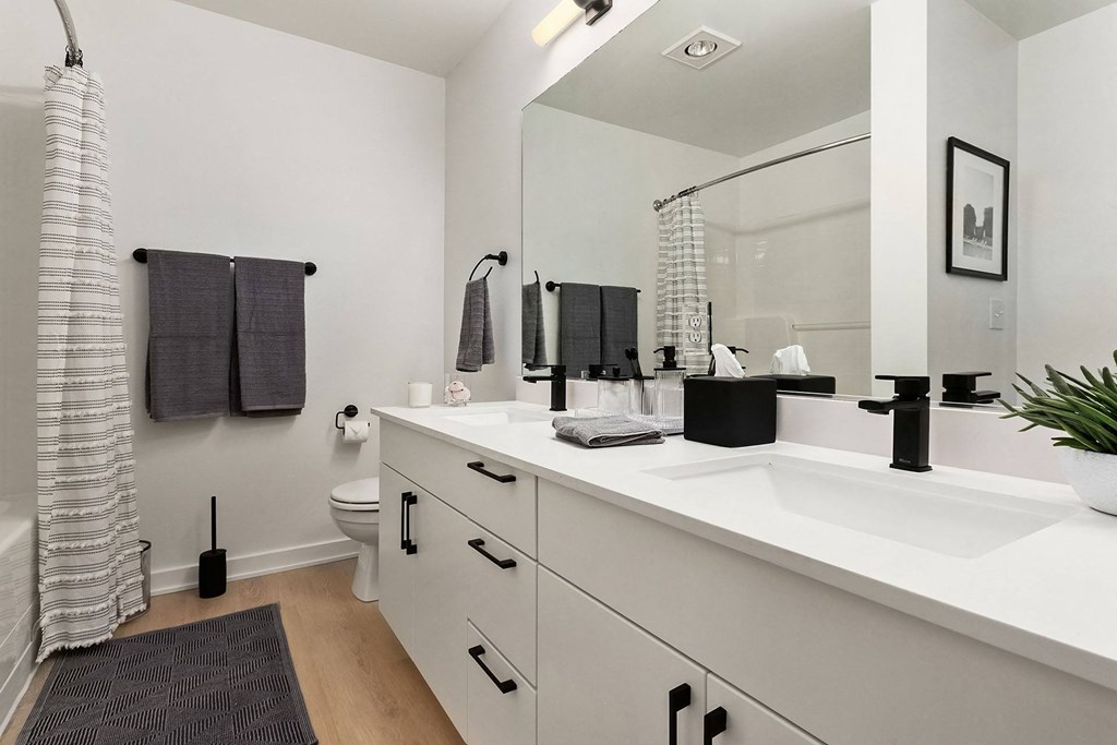 a bathroom with a large sink and a mirror