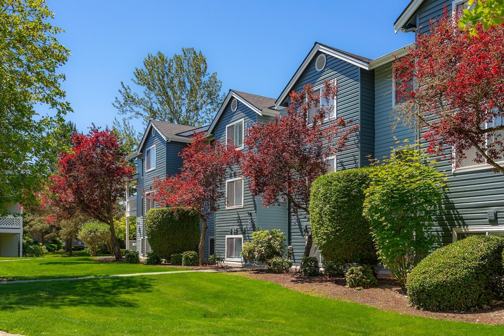 a blue house with trees and shrubs in front of it