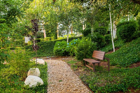 a path with a bench in a park