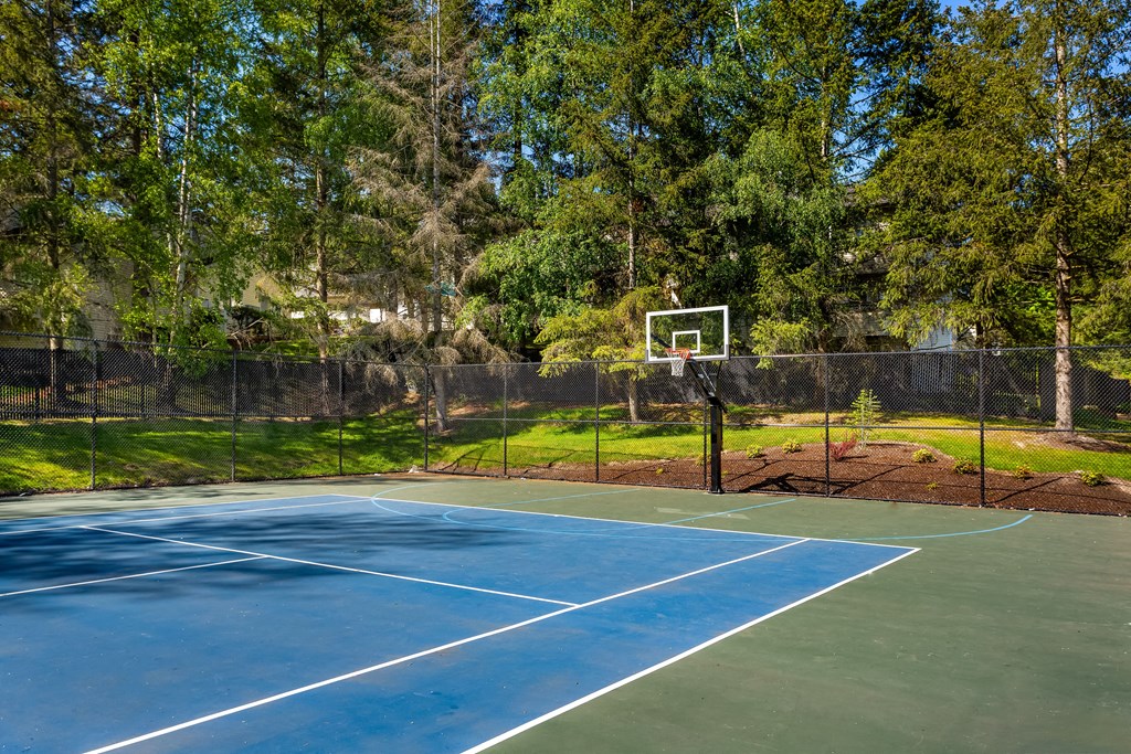 a tennis court with a basketball hoop and a fence