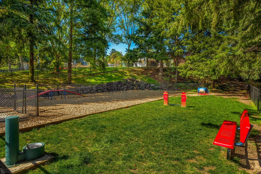 a backyard with a dog park and trees