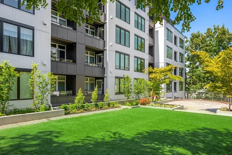 a green lawn in front of an apartment building