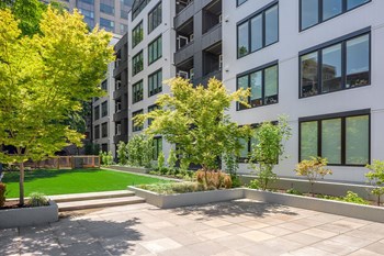 1310 Minor Ave Studio-2 Beds Apartment for Rent - Photo Gallery 4