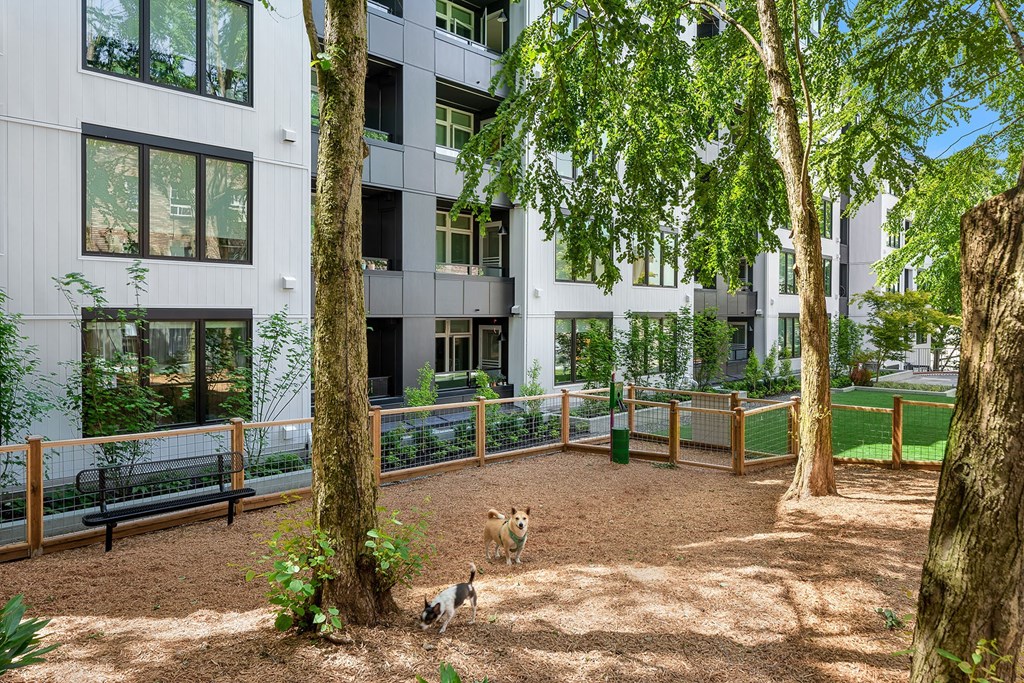 a dog running around in a dog park in front of a building