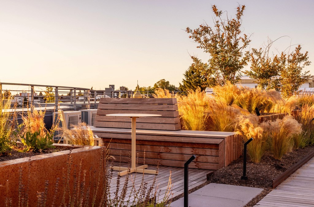 a wooden bench on a roof with a city in the background