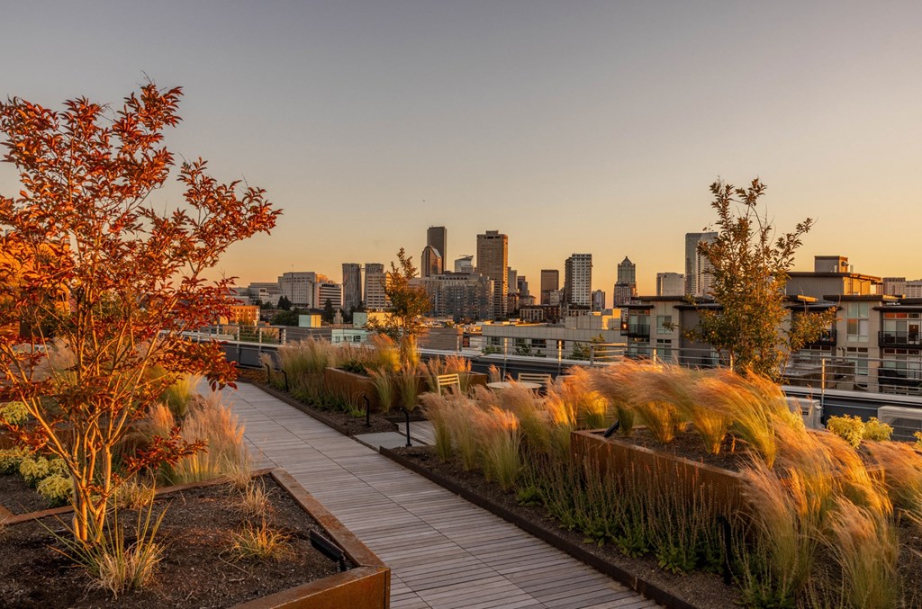 a view of the city skyline from a park with plants and grass