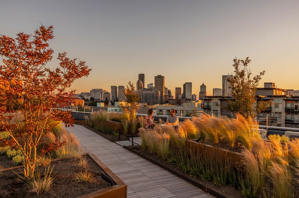 a view of a city skyline from a park with plants and grass