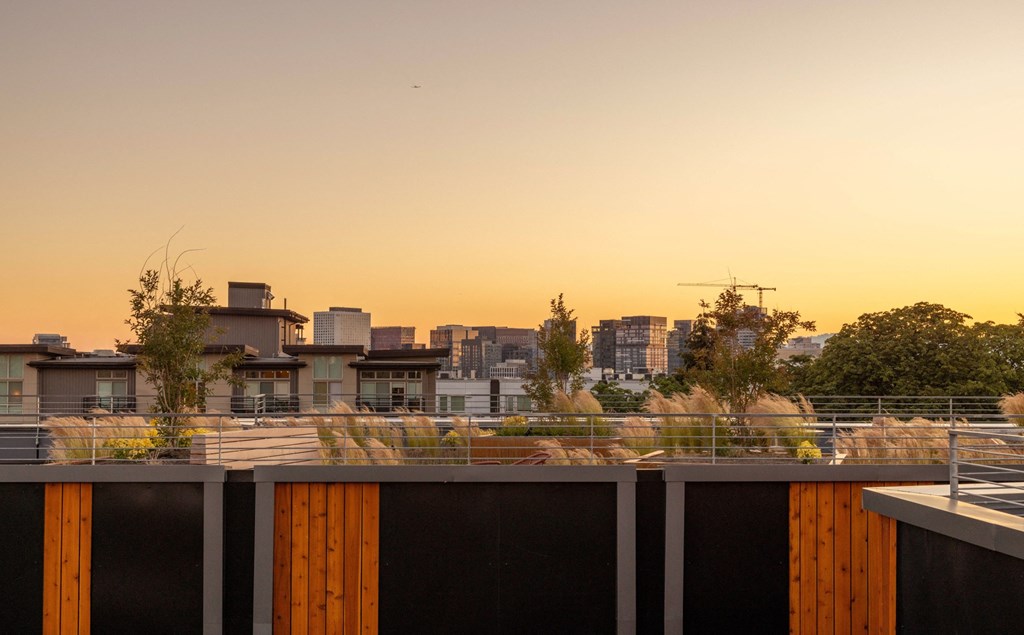 the view of the city from the roof of a building