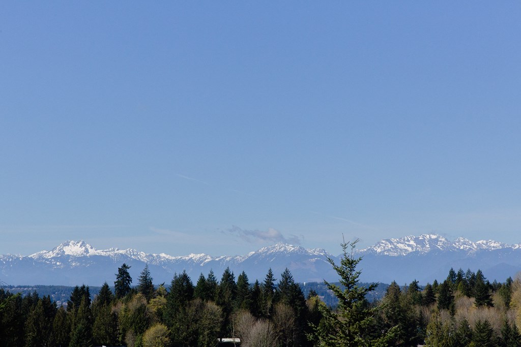 a view of the snow covered mountains in the distance with a blue sky