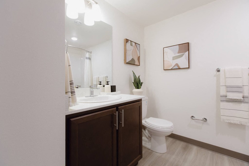 a bathroom with a sink and a toilet and a mirror