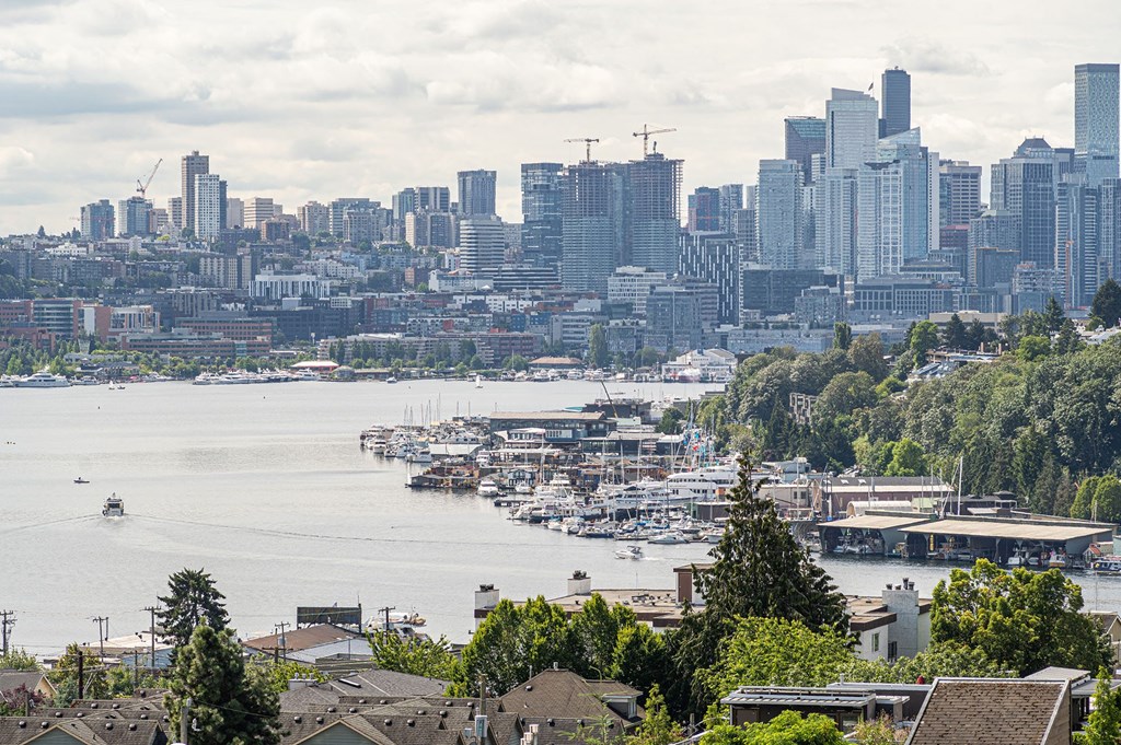 a view of the city of seattle from mt. rainier