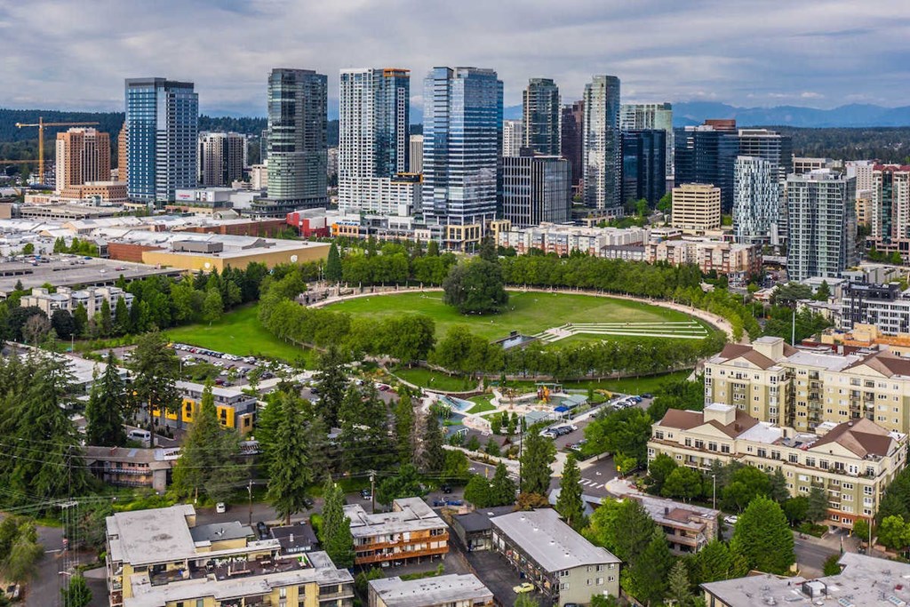 a cityscape of the city with skyscrapers and a park