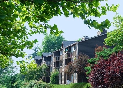 A large building with a balcony is surrounded by trees.