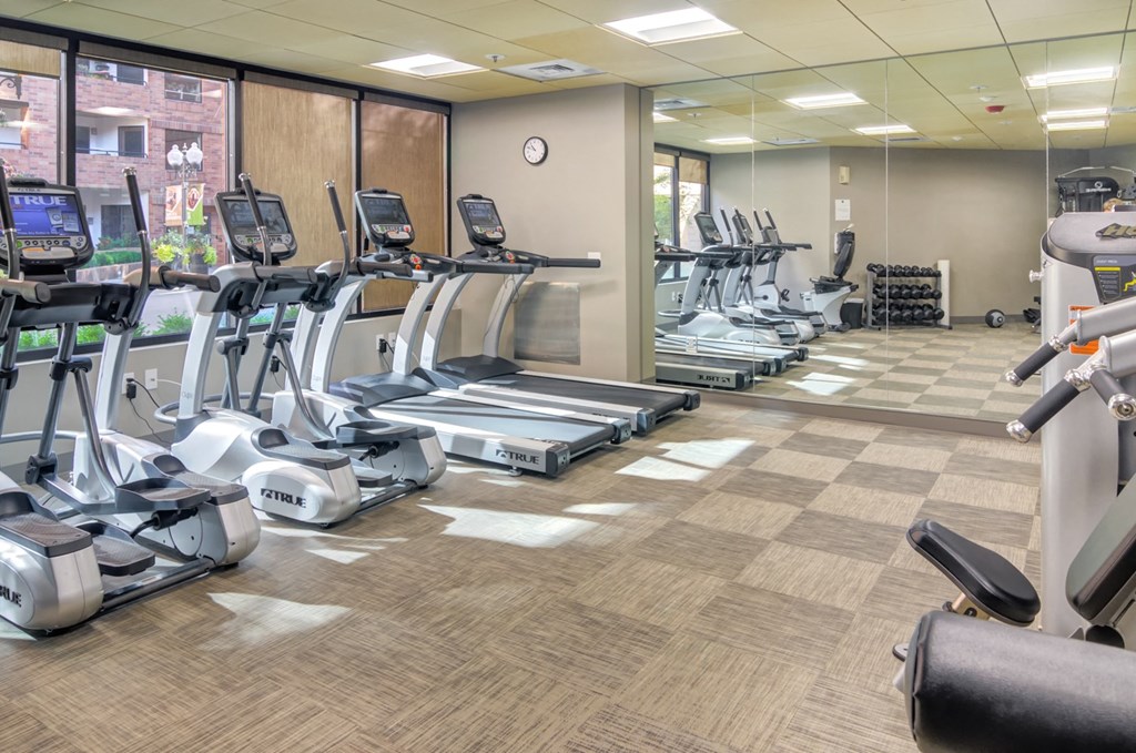 a gym full of cardio equipment and exercise machines