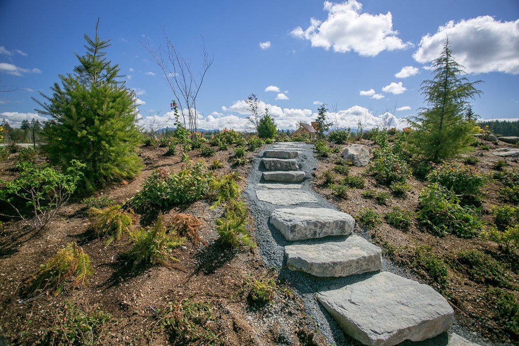 a staircase of rocks on a trail in the woods