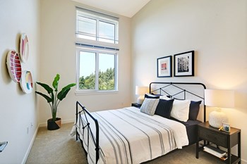 24000 Van Ry Blvd Studio-3 Beds Apartment for Rent - Photo Gallery 4