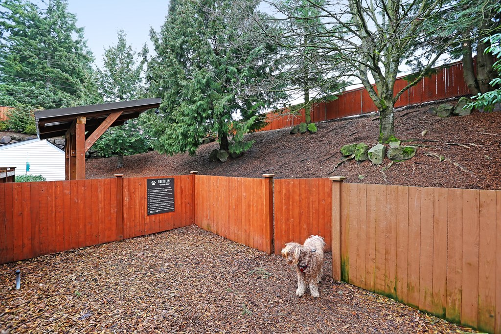 a dog standing in front of a wooden fence