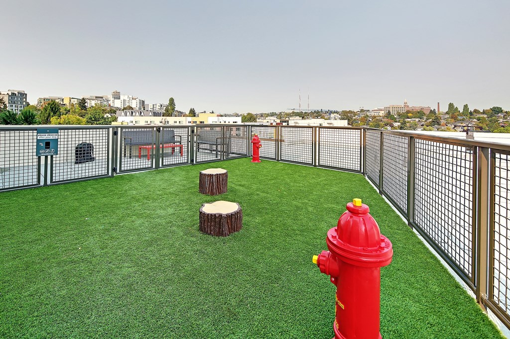 a green roof with a fire hydrant and grass on a rooftop
