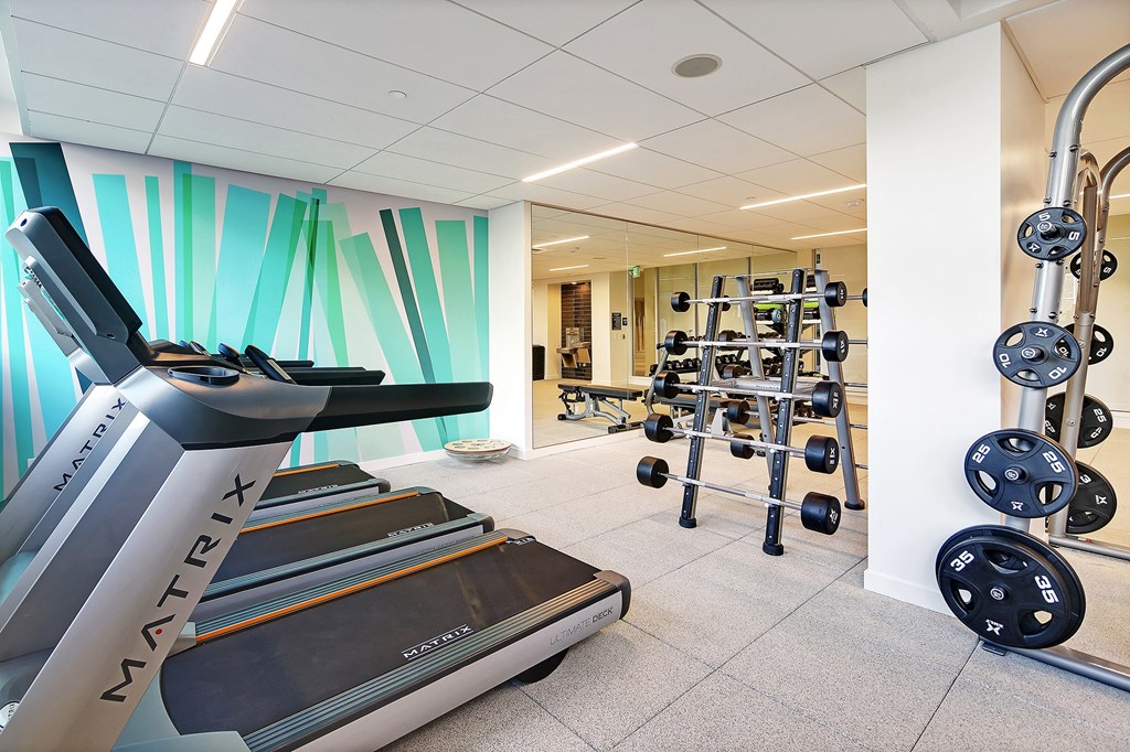 a gym with treadmills and weights in a room with a wall of weights