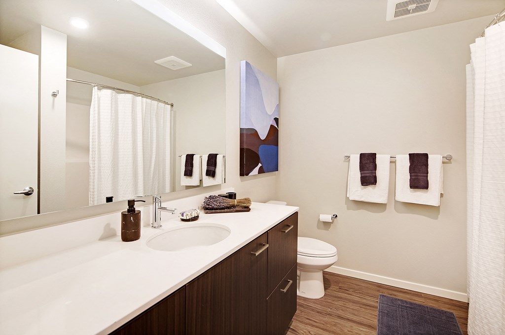 a bathroom with a sink and a toilet and a mirror