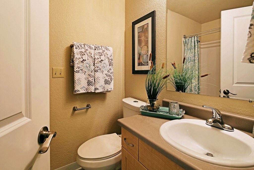 a bathroom with a sink toilet and a mirror