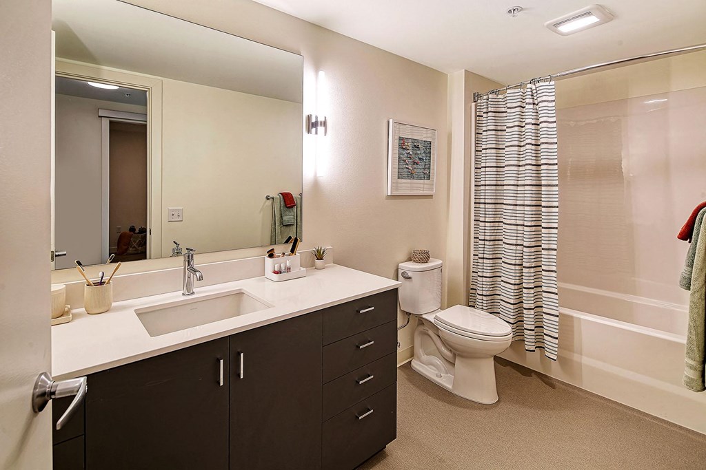 a bathroom with a sink and a toilet