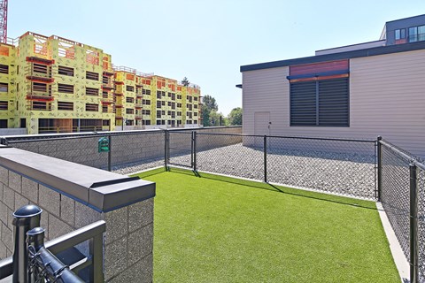 a fenced in area with a lawn in front of a building