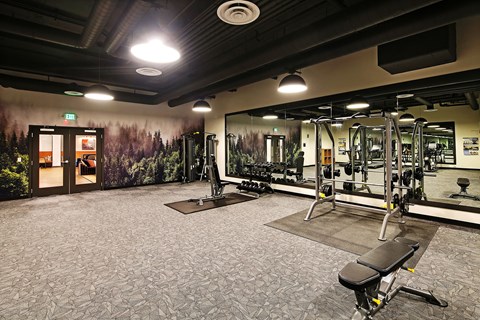 a gym with exercise equipment and a wall mural of trees