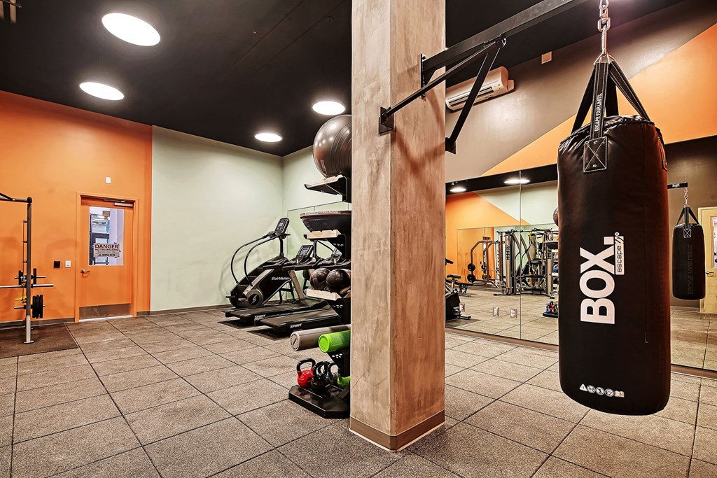 a gym with a punching bag and weights on the wall