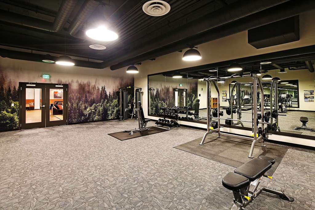 a gym with exercise equipment and a wall mural of trees