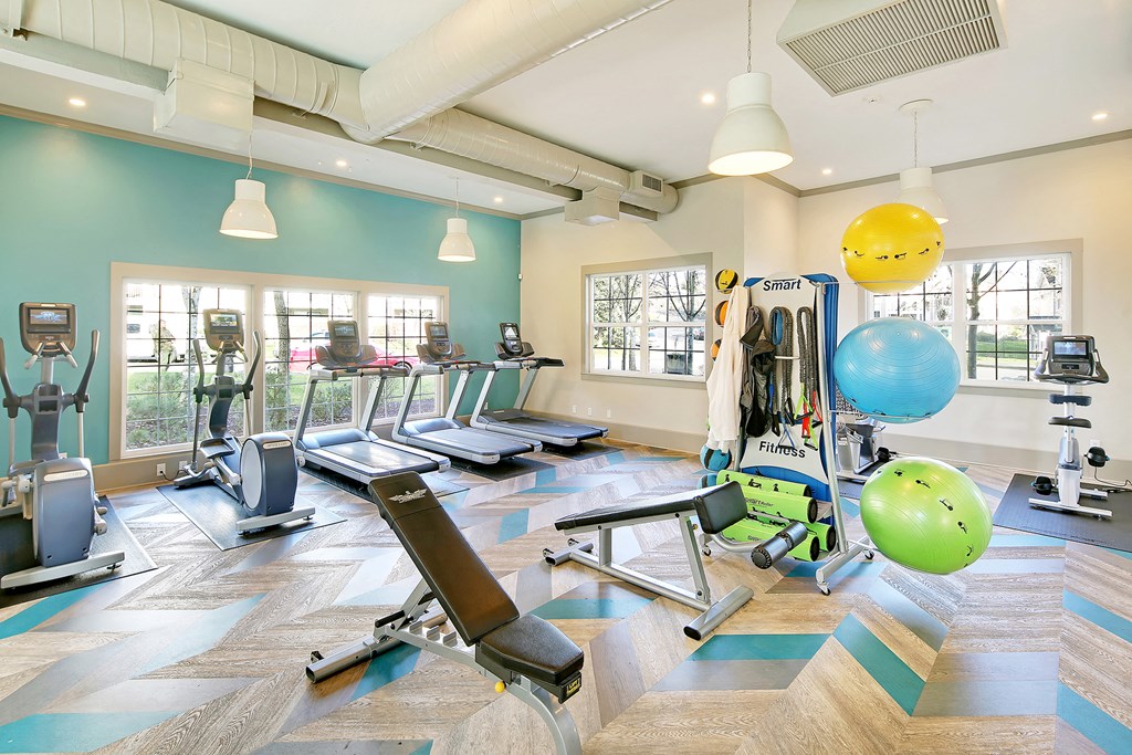 a gym with cardio machines and weights and windows