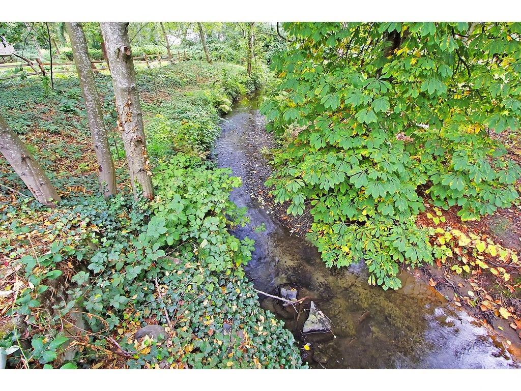 a stream running through a lush green forest