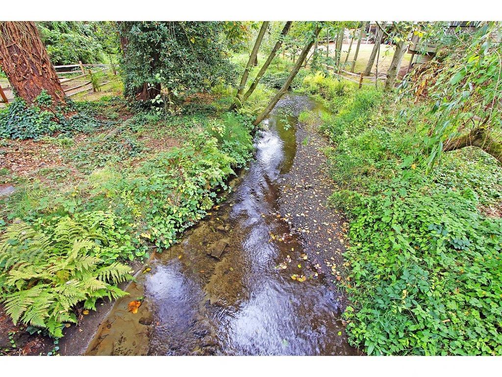 a stream running through a lush green forest