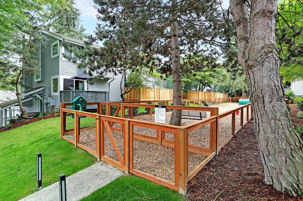 a large backyard with a deck and a tree