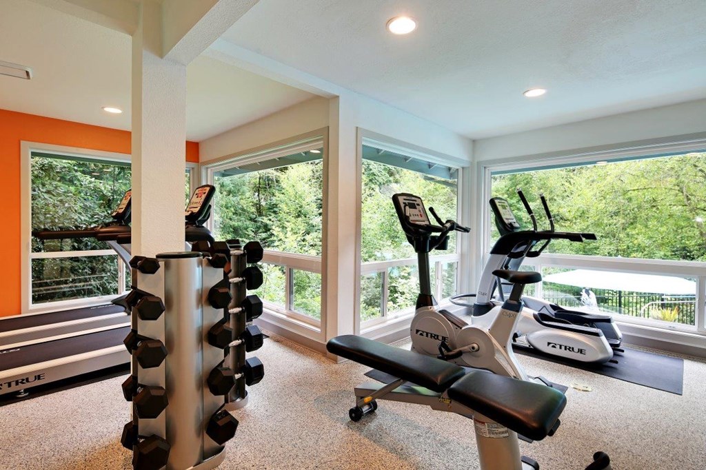 a gym with exercise equipment and large windows
