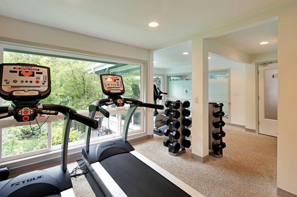a gym with a large window and weights in it