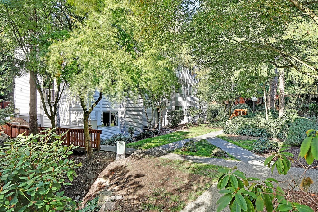 A house is surrounded by trees and bushes.