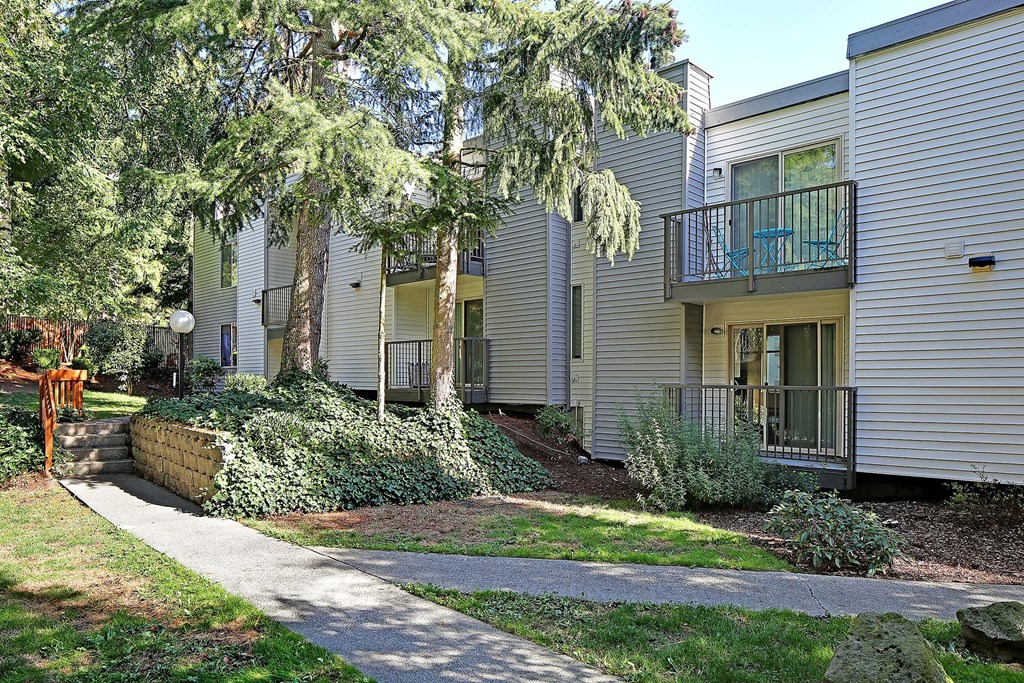 A small tree stands next to a building.
