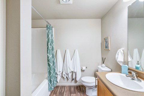 a bathroom with a shower and a toilet and a sink