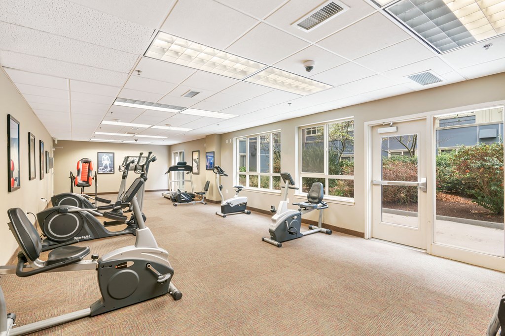 a gym with treadmills and other exercise equipment