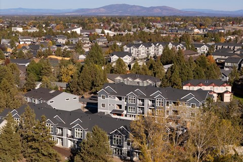 A large group of houses are surrounded by trees.