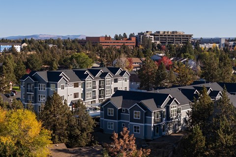 A cluster of houses with trees in the foreground.