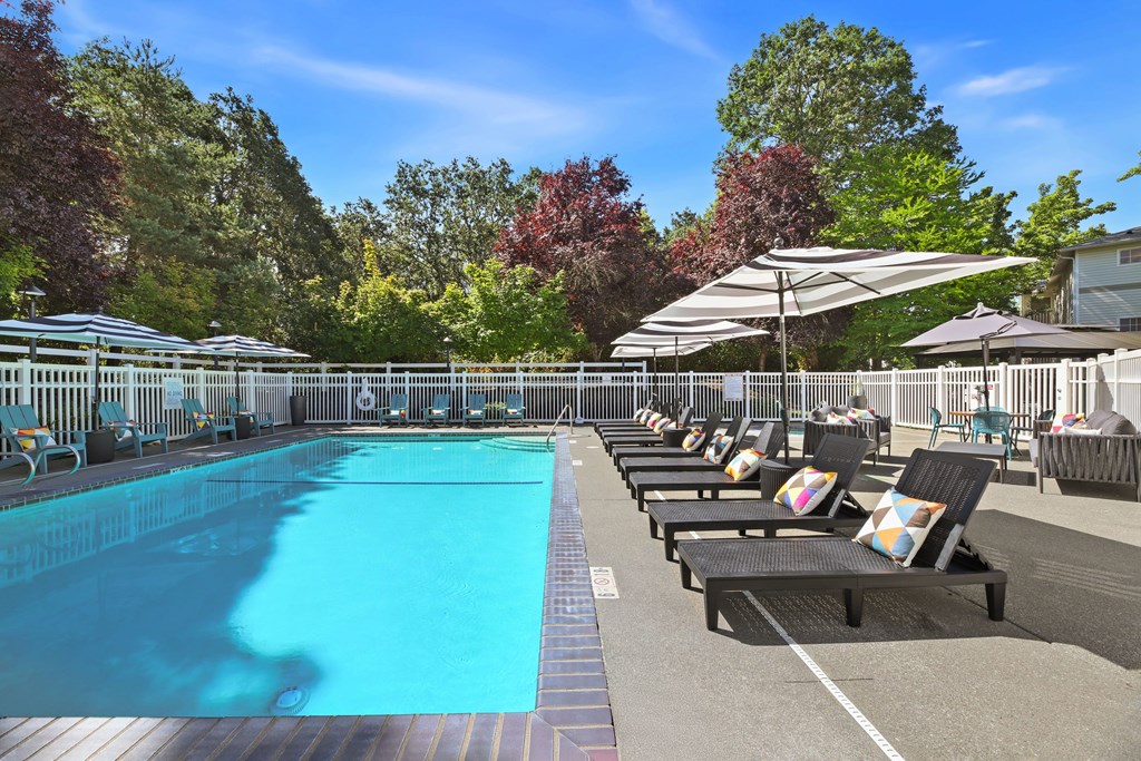A large outdoor swimming pool surrounded by lounge chairs and umbrellas.