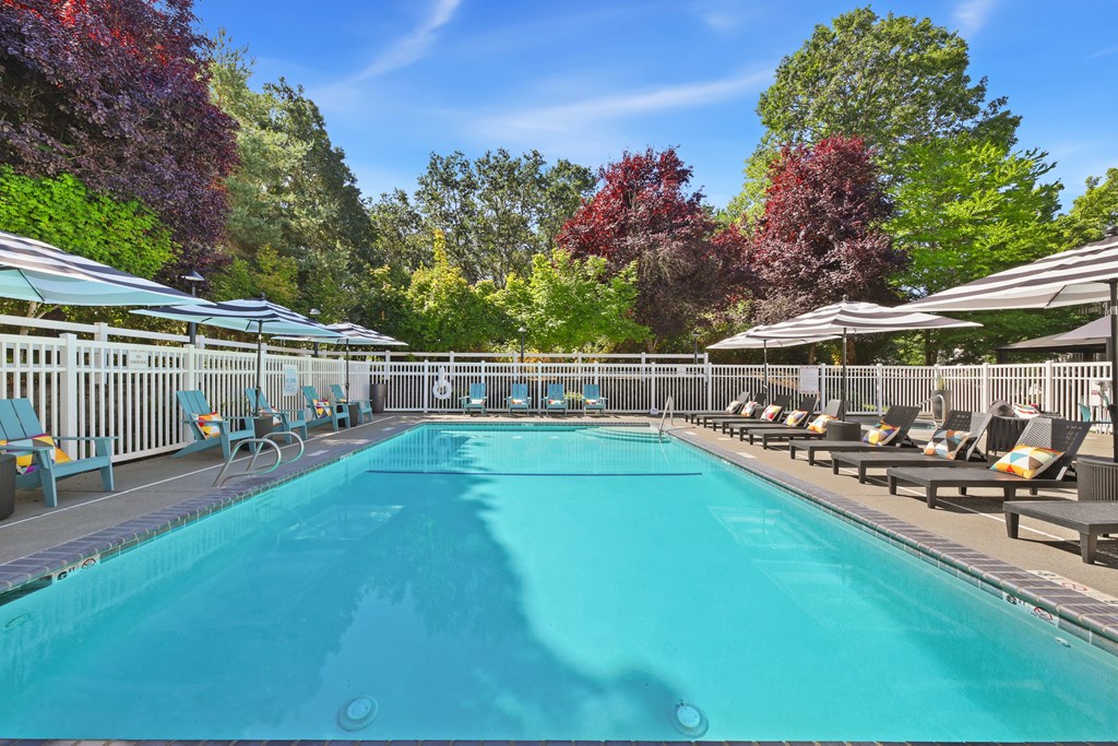 A large outdoor swimming pool surrounded by trees and lounge chairs.