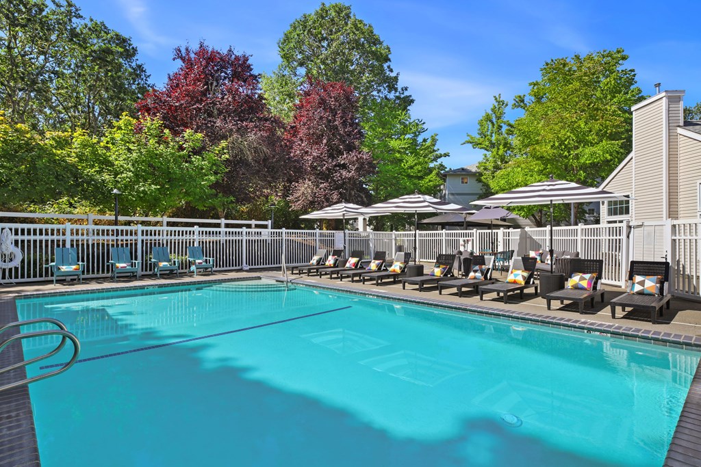 A large swimming pool surrounded by trees and lounge chairs.