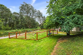 A wooden fence encloses a green yard.