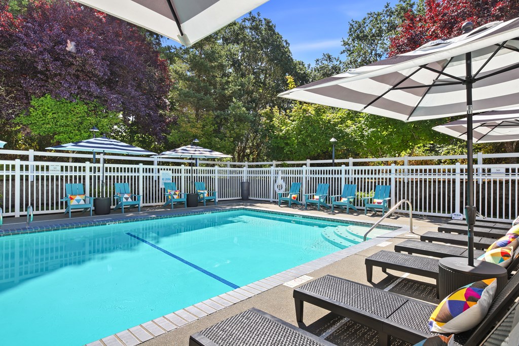 A pool surrounded by trees and chairs.